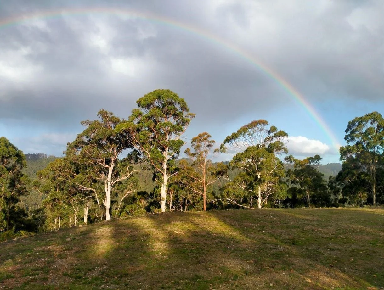 Additional image 14 of Somerset TAS 7322