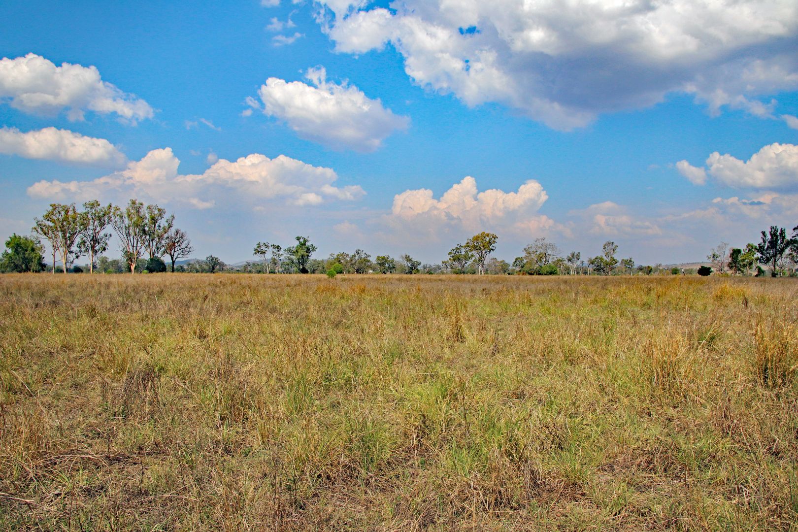 47413 Burnett Highway, Dululu QLD 4702, Image 2