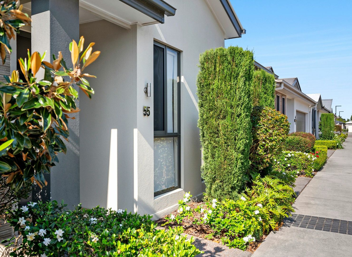 55/596 David Low Way, Pacific Paradise QLD 4564 Domain