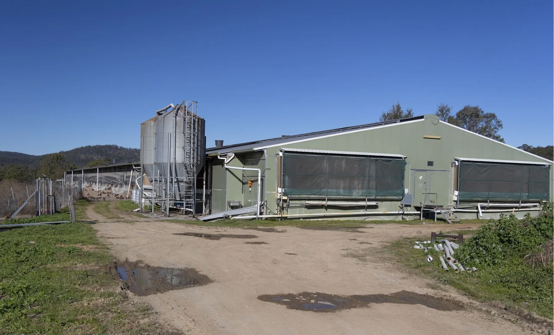Image 12