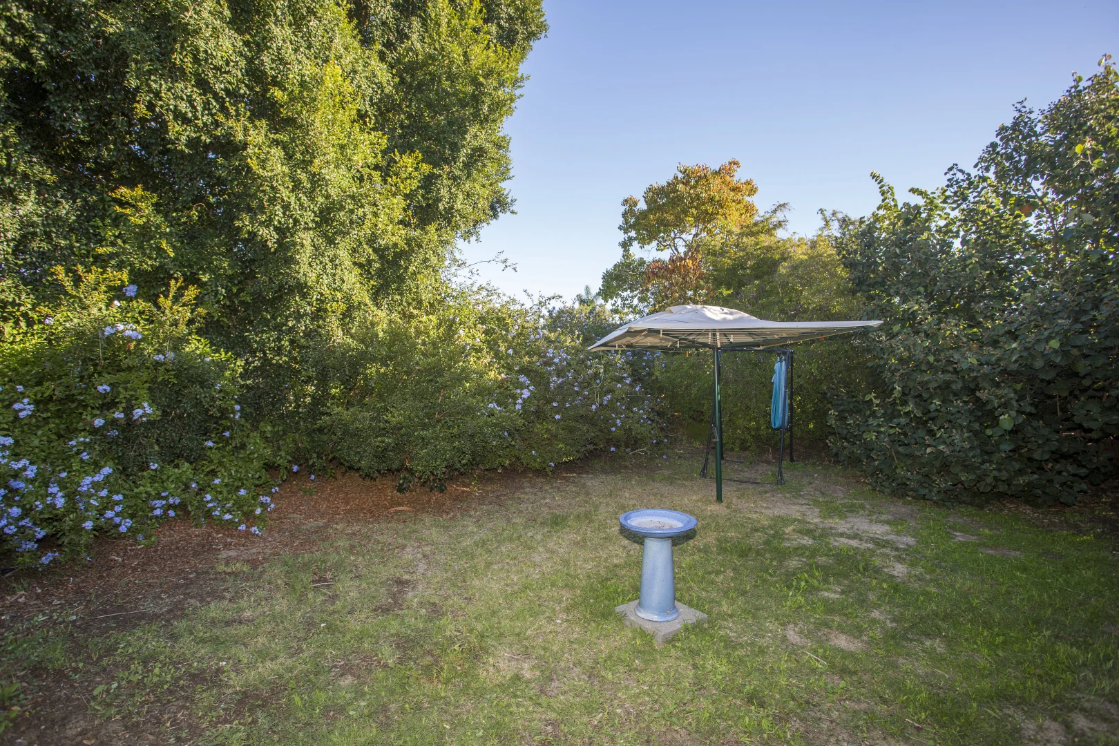 Image 35