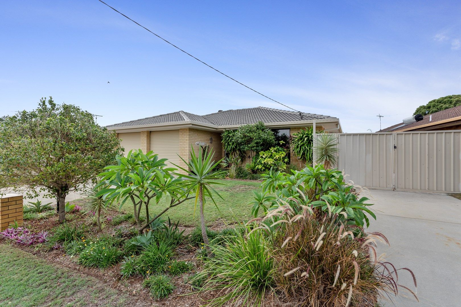 16 Indra Avenue, Bellara QLD 4507, Image 1