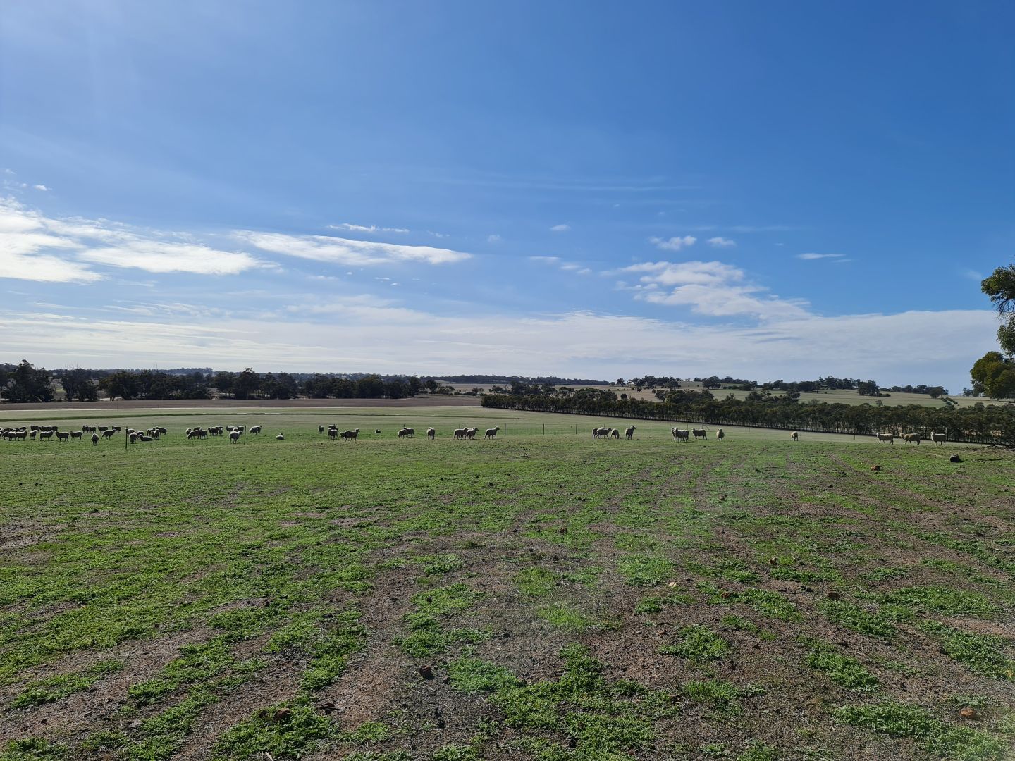 Lot 6640 Thompson Road, Pingelly WA 6308, Image 2