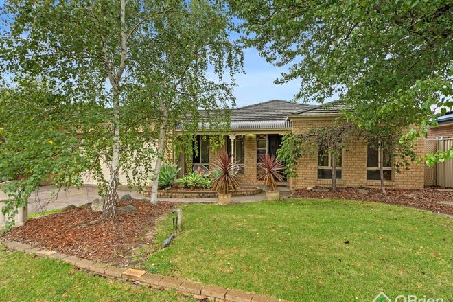 Picture of 6 Manor Court, CRANBOURNE EAST VIC 3977