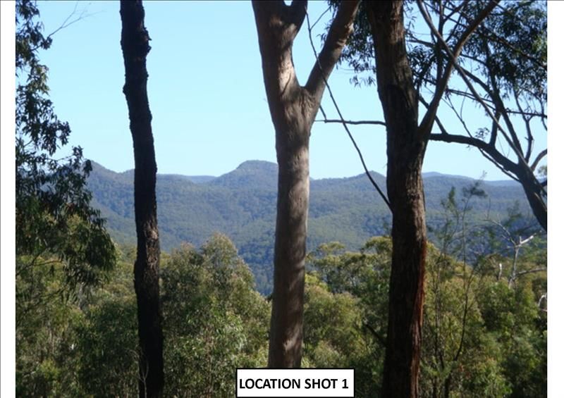 Lot106&amp;107 Wollombi Road, Paynes Crossing NSW 2325, Image 1