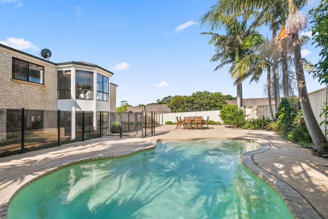 Picture of 22 Bedarra Court, SHELL COVE NSW 2529