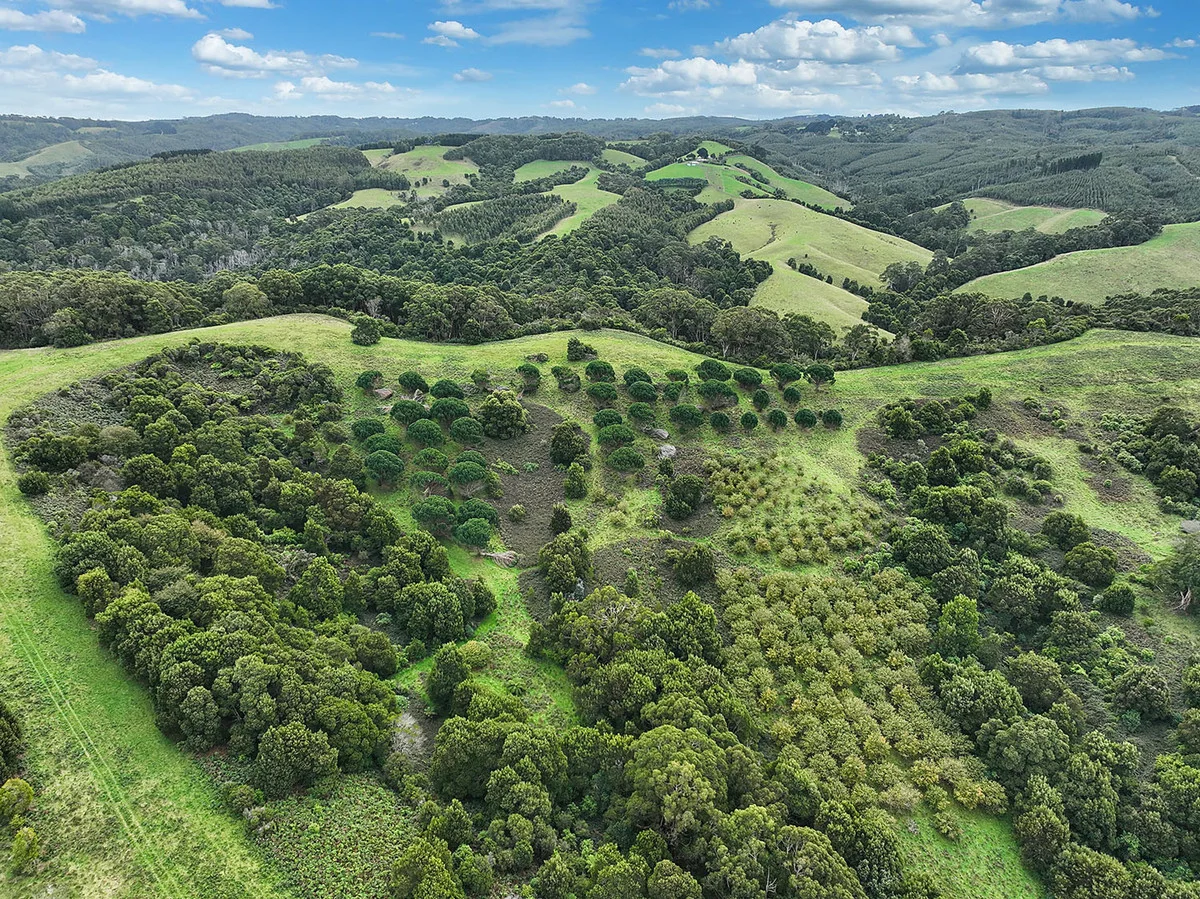 Additional image 6 of 110 Staffords Road, Johanna VIC 3238