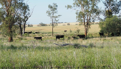 Picture of 13527 Gwydir Highway, WARIALDA NSW 2402