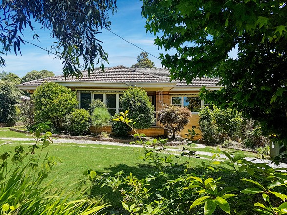 6 Austin Street, Mitcham VIC 3132