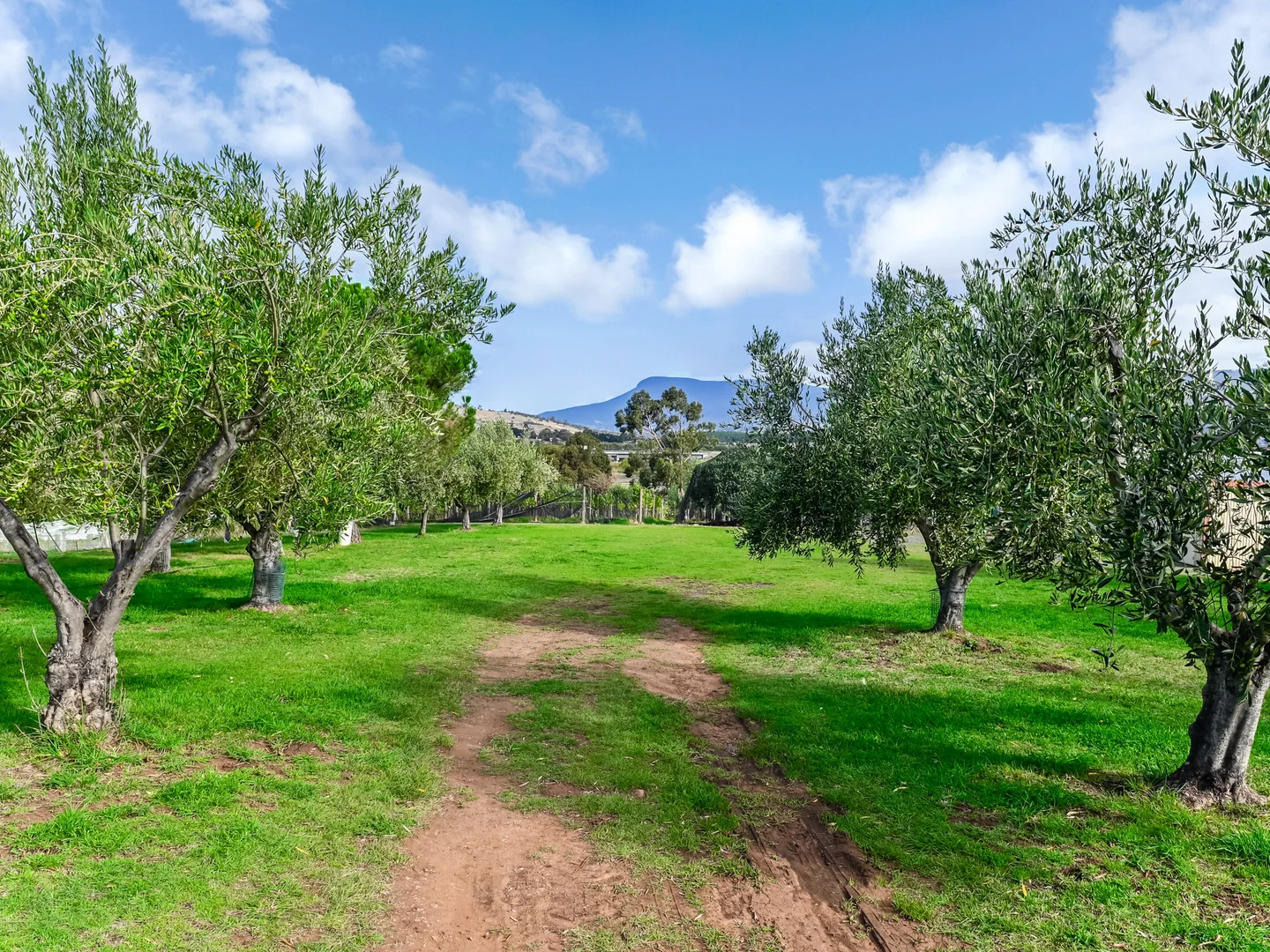 Additional image 25 of 173 Tea Tree Road, Brighton TAS 7030