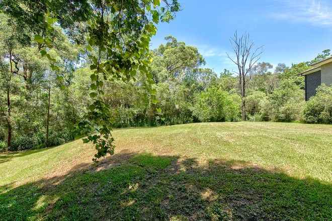 66 Hexham Street Tarragindi 4121 - Image 3