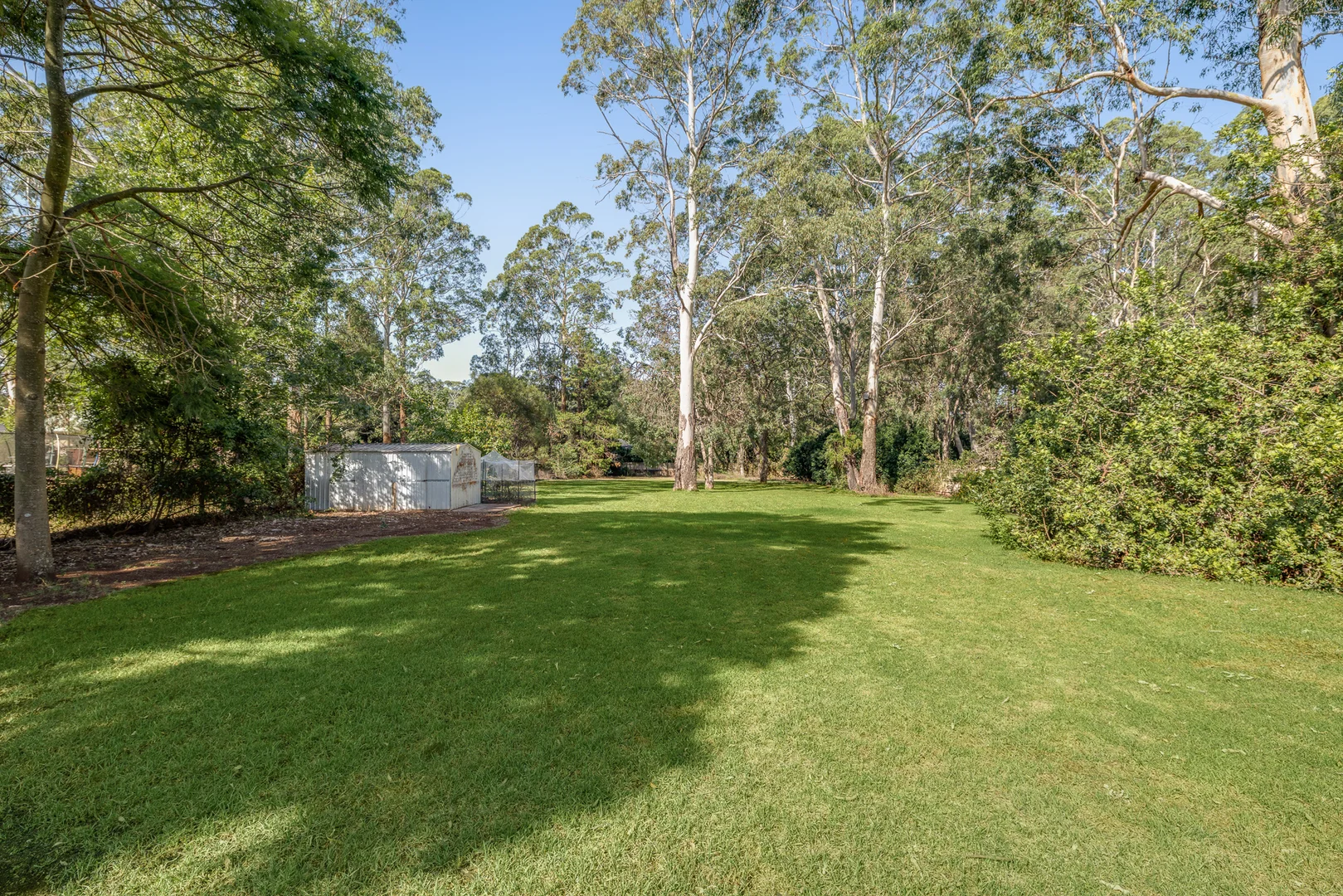Image 15