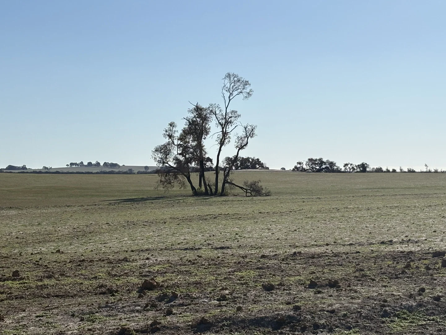 Image 10
