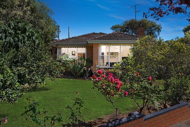 Picture of 4 Montgomery Avenue, HAMLYN HEIGHTS VIC 3215
