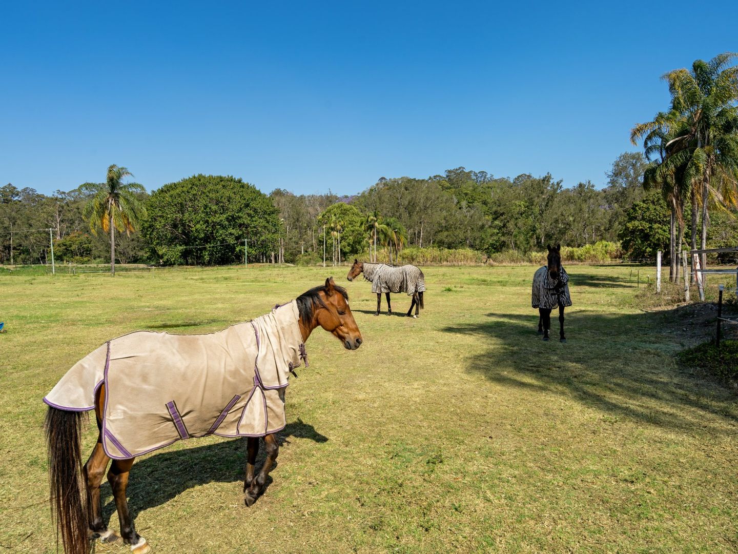 27 Mark Way, Mudgeeraba QLD 4213, Image 2