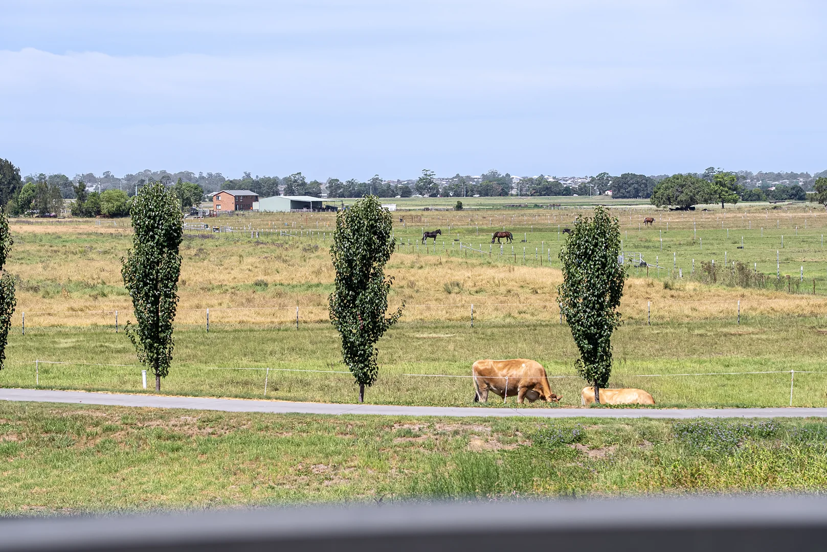 Additional image 30 of 11/25 Paterson Road, Bolwarra NSW 2320