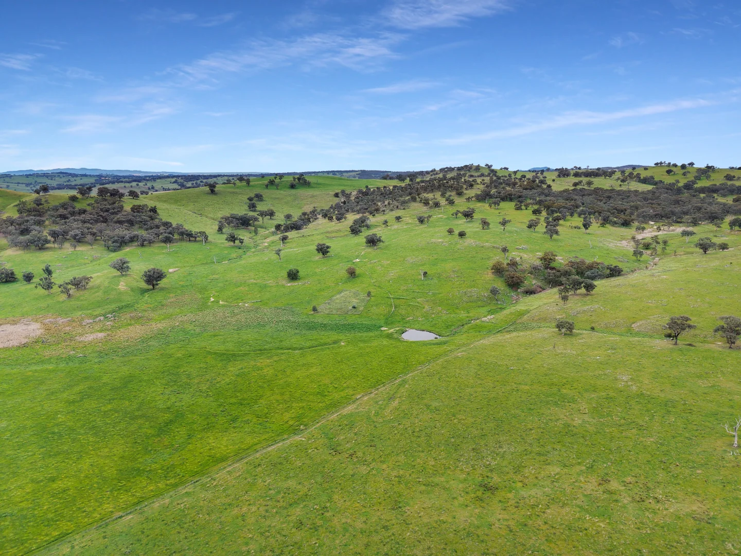 Image 37