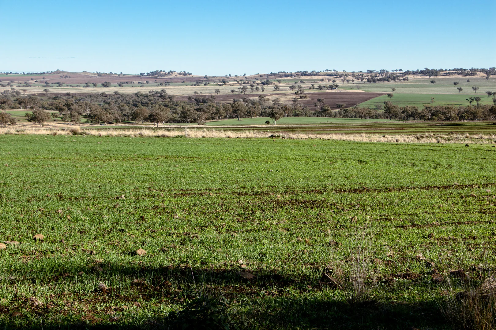 Image 39