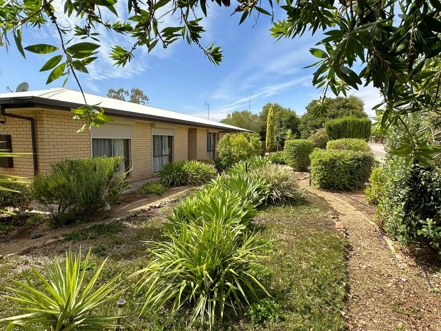 5 bedrooms House in 18 Edwards St WILMINGTON SA, 5485