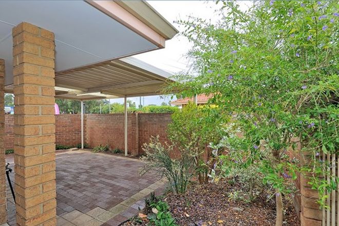 Picture of 10/253 Lord Street, BEECHBORO WA 6063