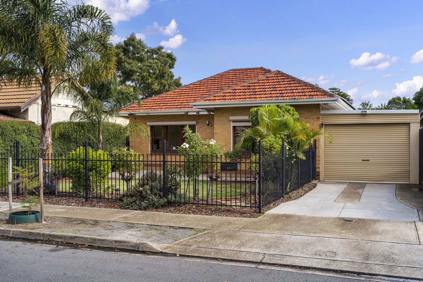 19 Arthur Street, Plympton Park SA 5038