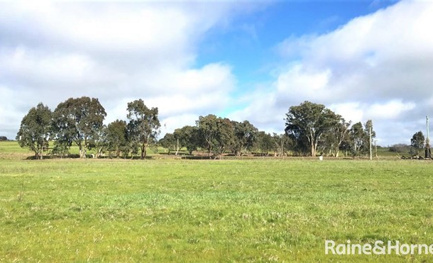 1400 Wombat Road, Wombat NSW 2587