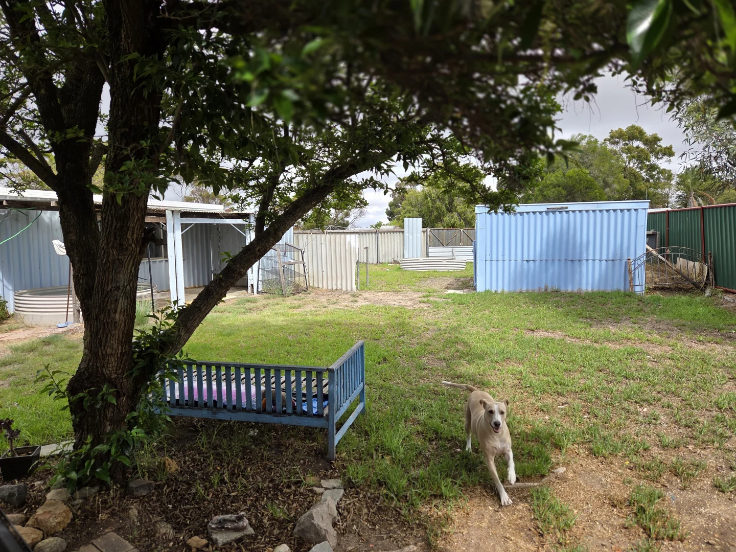 Additional image 12 of 2 Spitfire Avenue, Jerramungup WA 6337