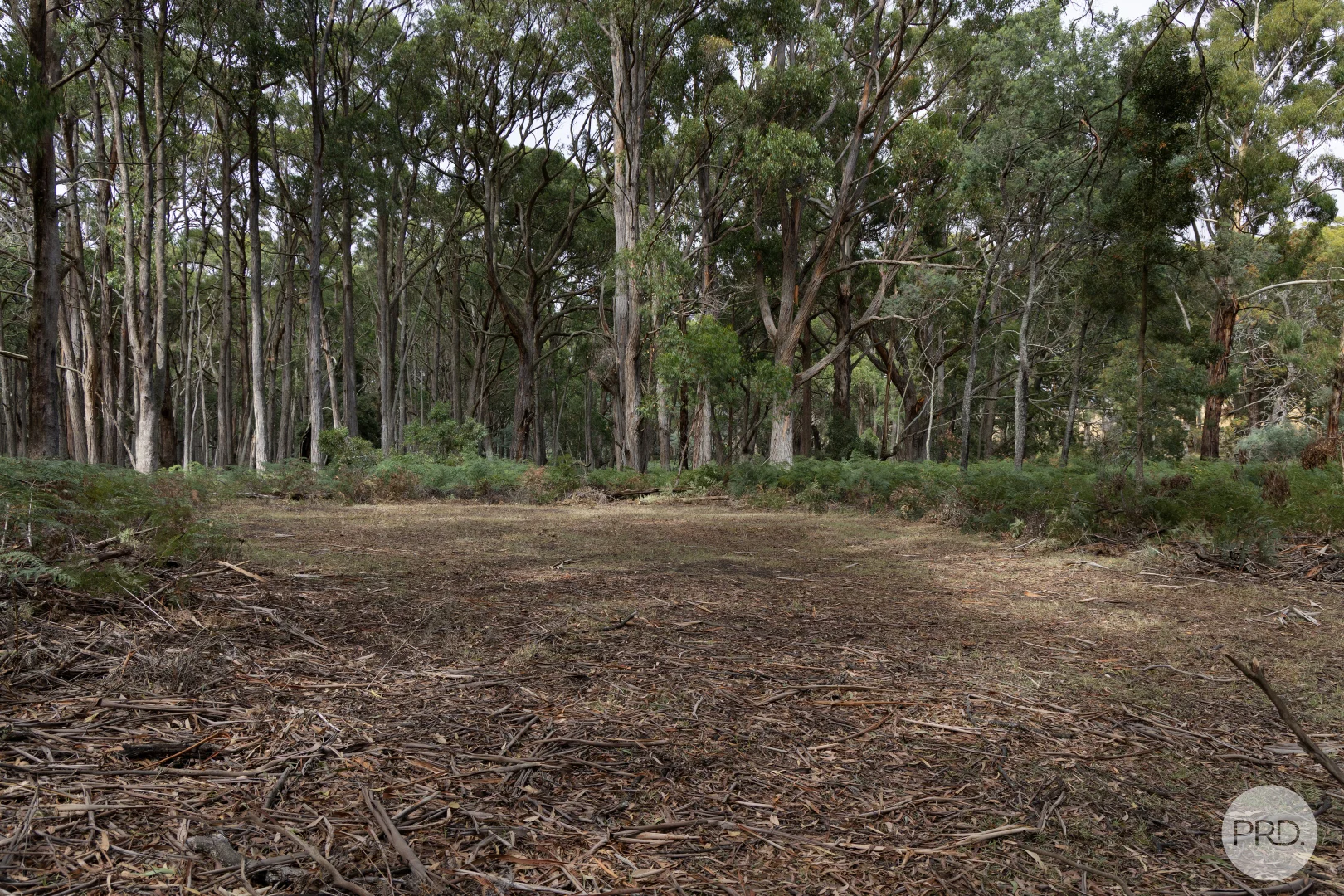 Additional image 5 of 266 Treweeks Road, Blampied VIC 3364