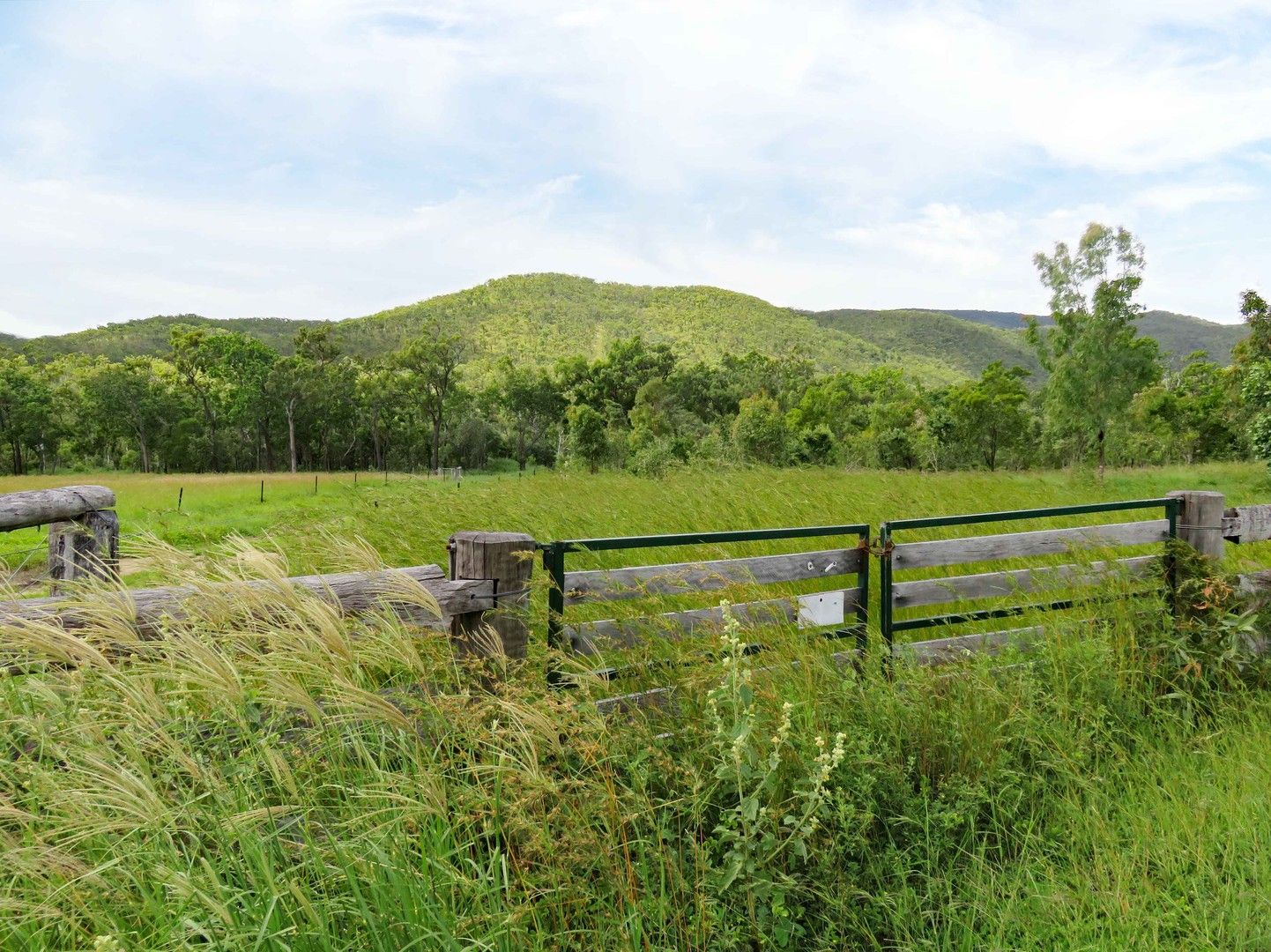 Lot 37 Oaky Valley Ave, Mutchilba QLD 4872, Image 0