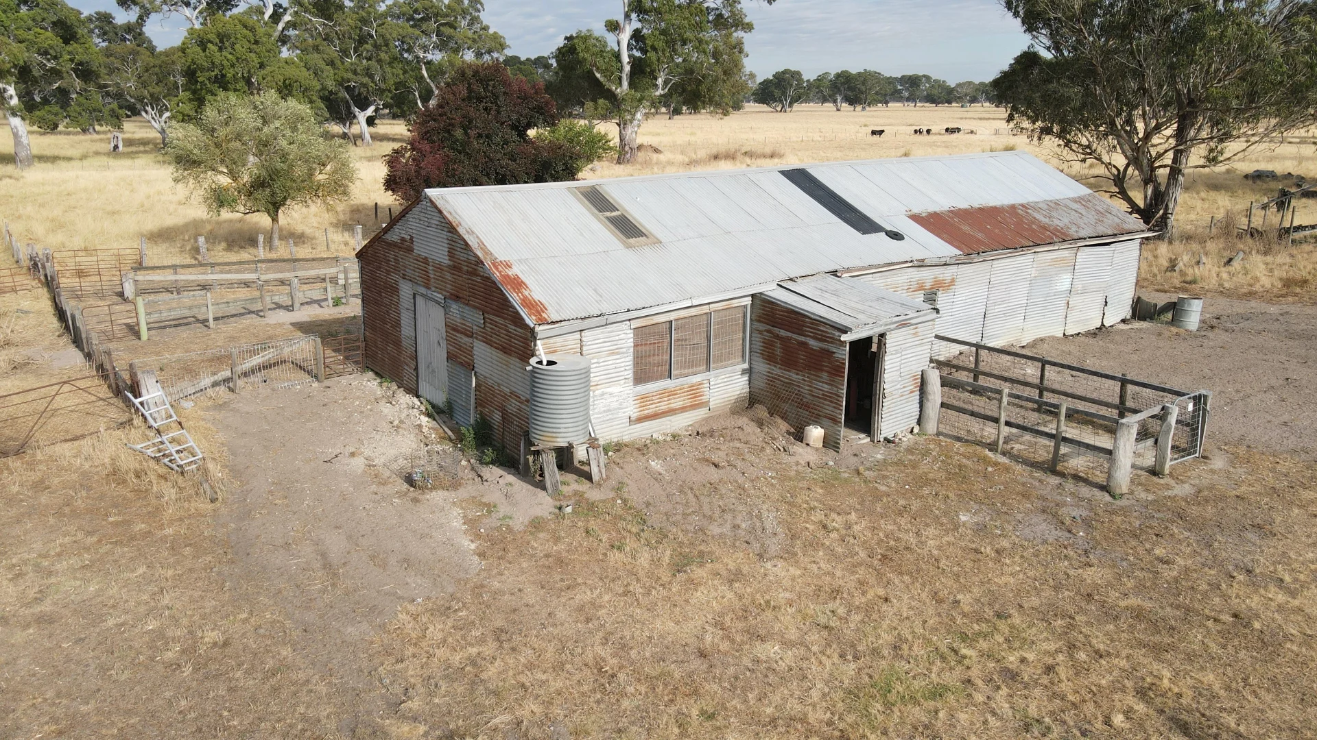 Image 10