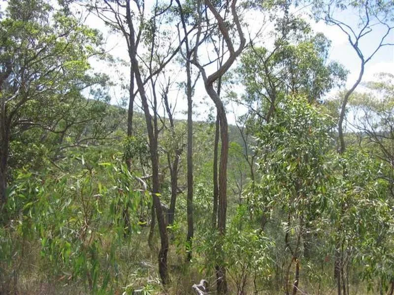 Image 13