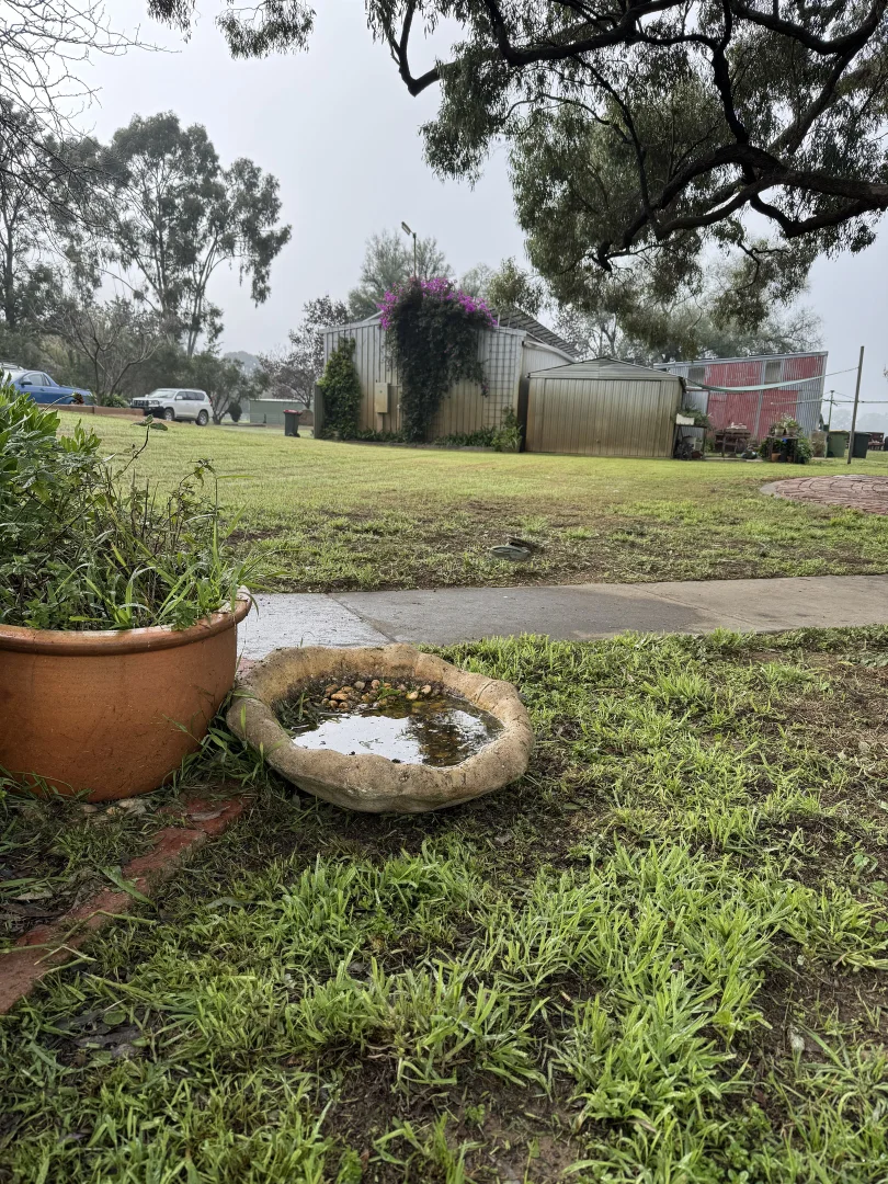 Image 15