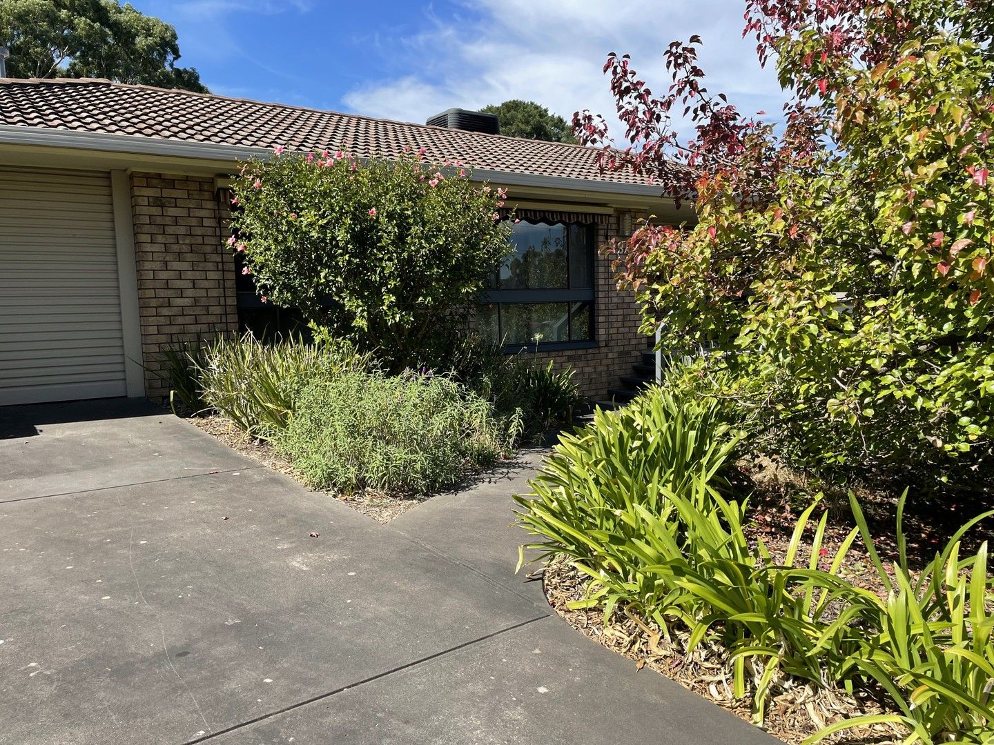 3a Lyn Street, Aberfoyle Park SA 5159 House For Rent 520 Domain