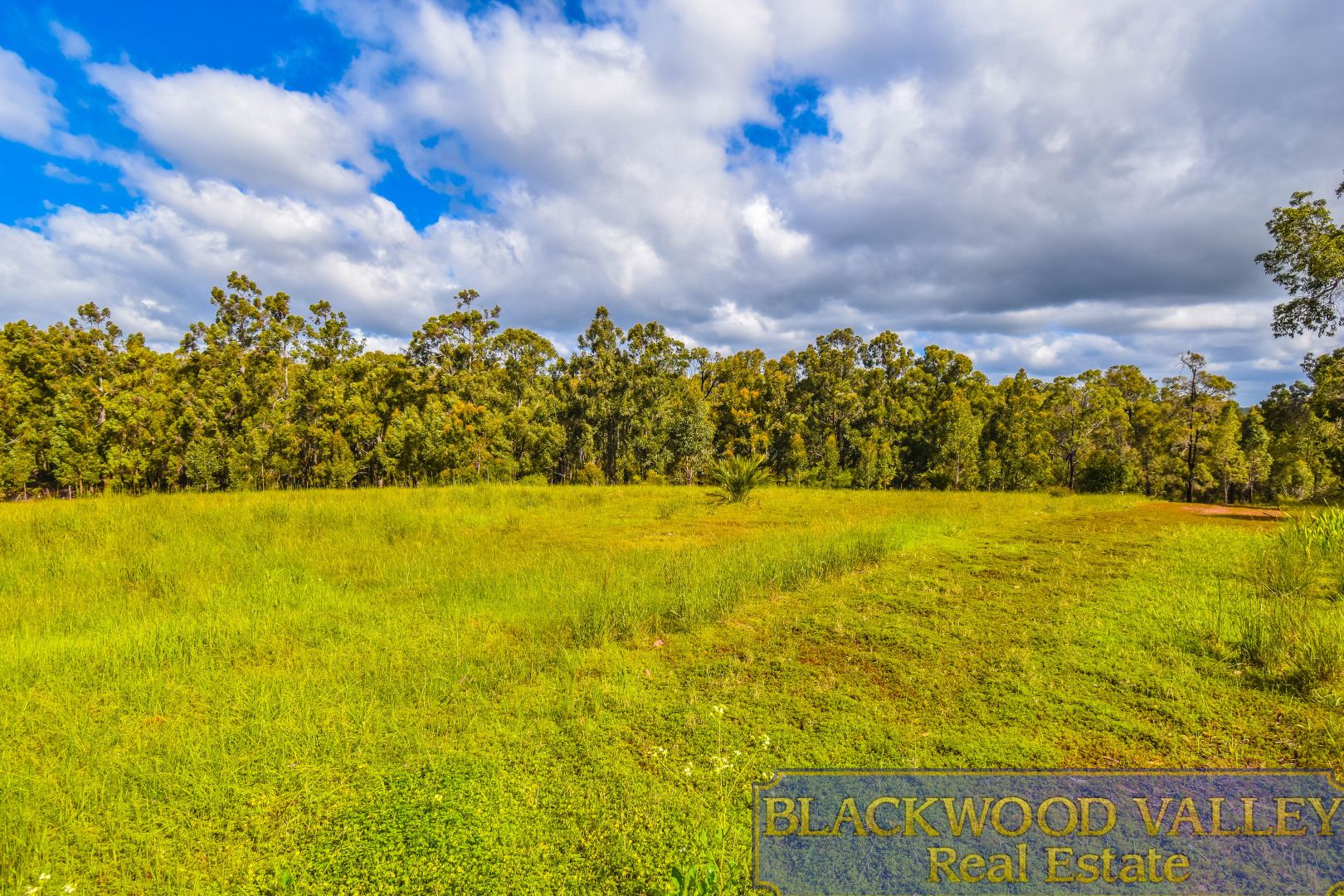 Lot 9999 Nelson Street, Bridgetown WA 6255 Domain