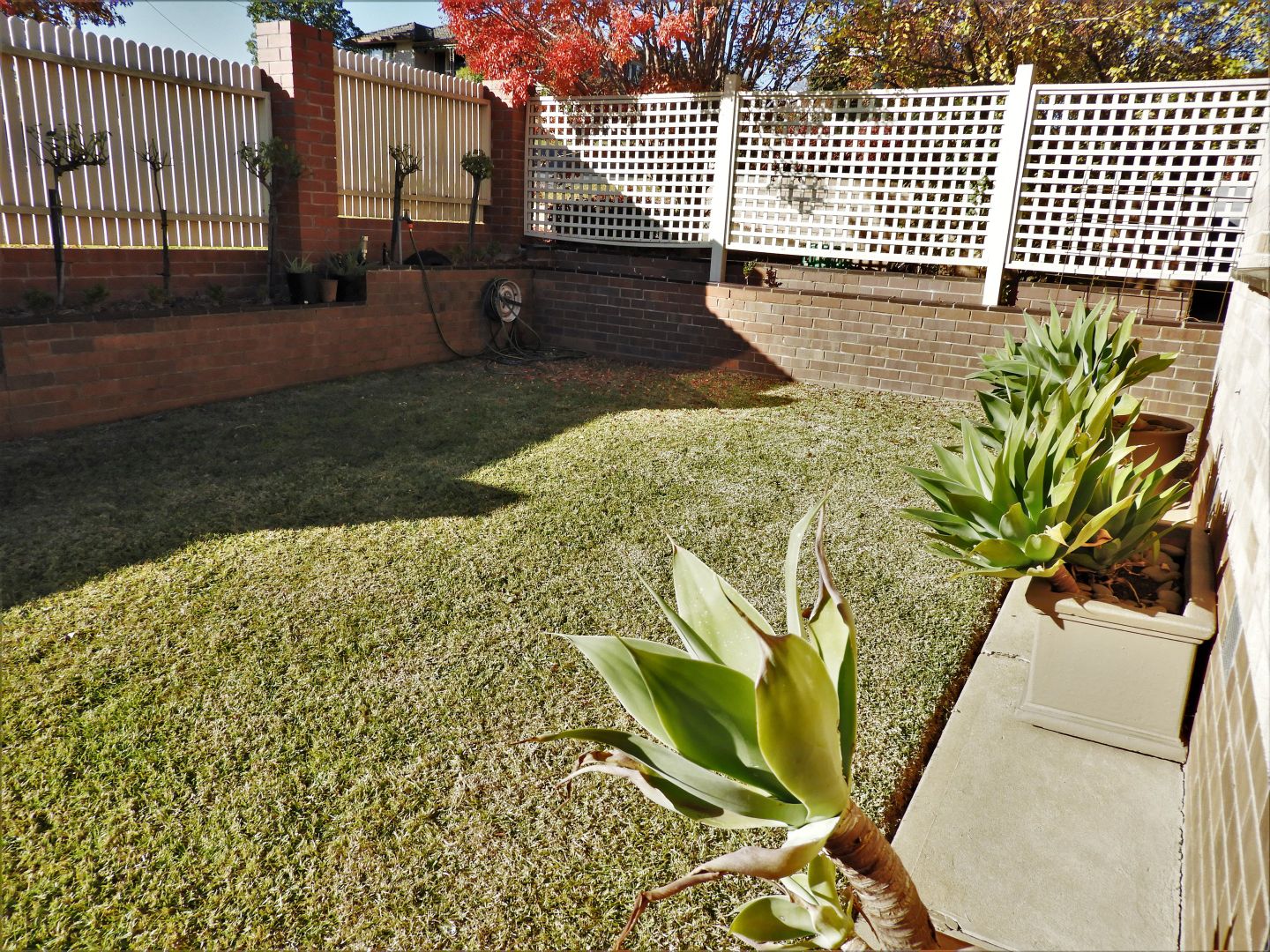 323 Chambers Avenue, East Albury NSW 2640, Image 2