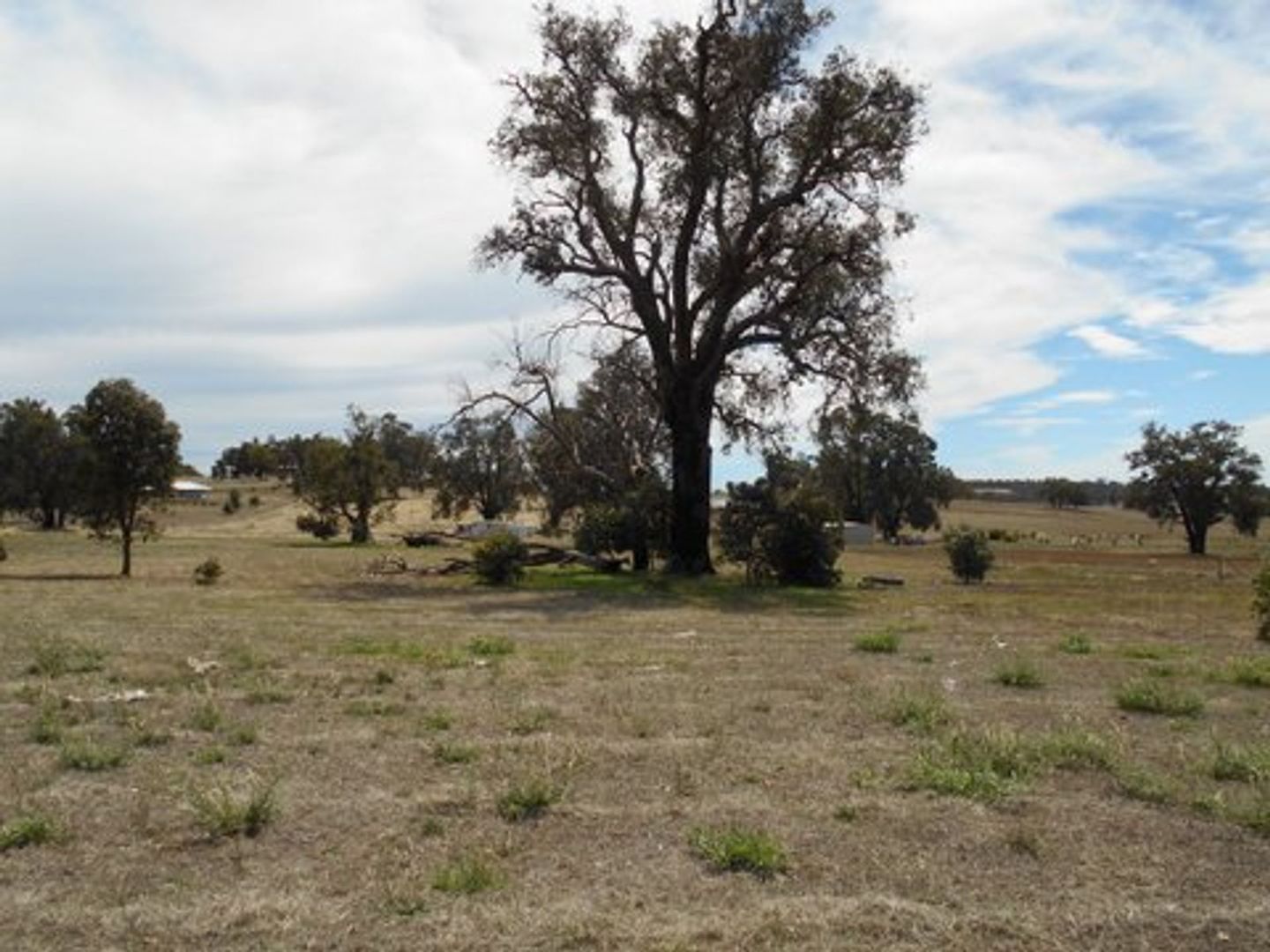 Lot 13 Charlton Road, Wandering WA 6308, Image 2