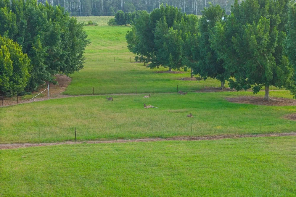 Additional image 8 of 458 Farrawells Road, Telegraph Point NSW 2441