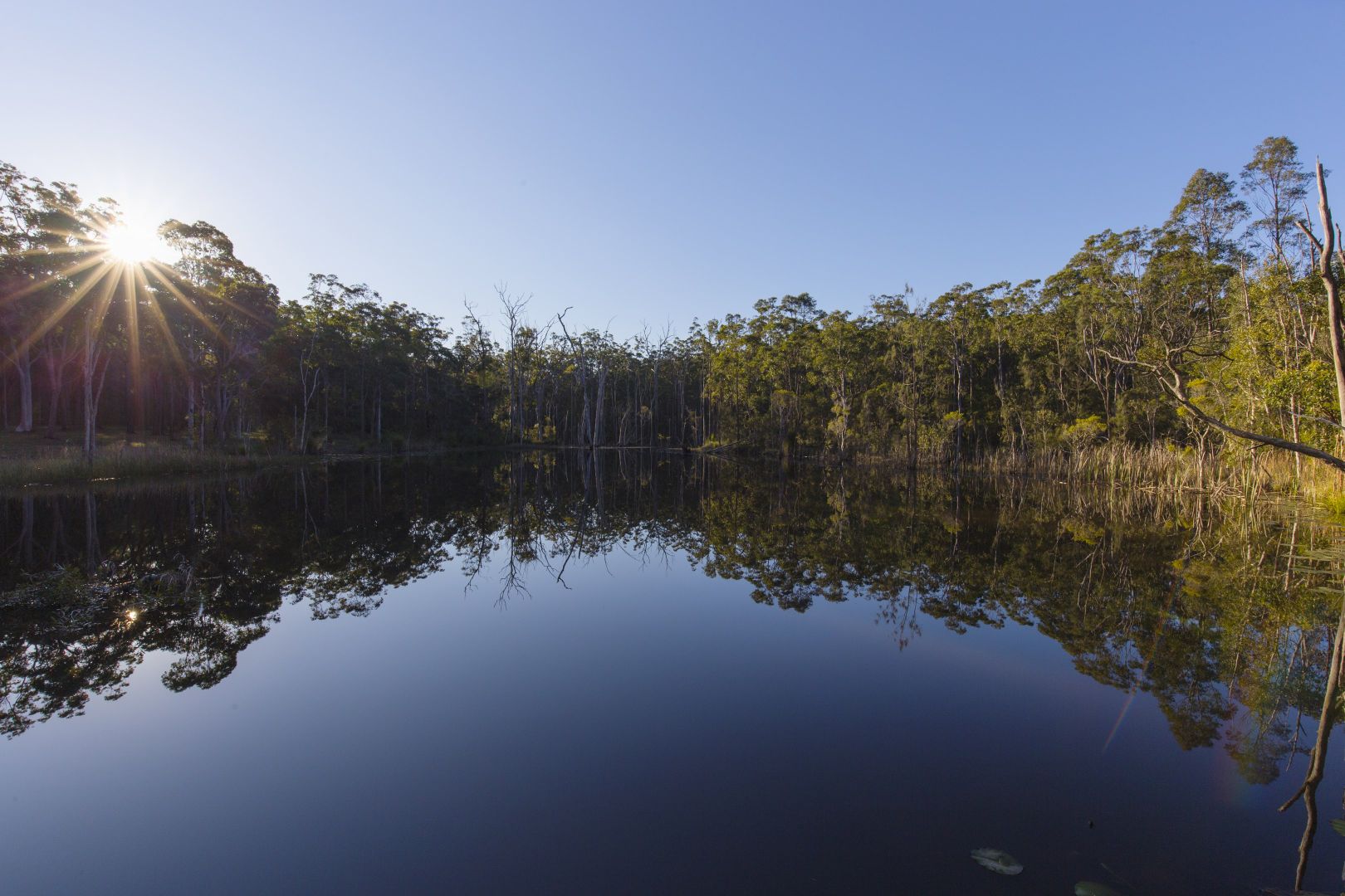 Gooreengi Road, North Arm Cove NSW 2324, Image 1