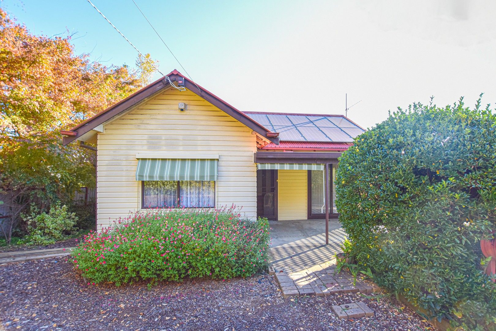 60 Elgin Street, Myrtleford VIC 3737 House For Rent Domain