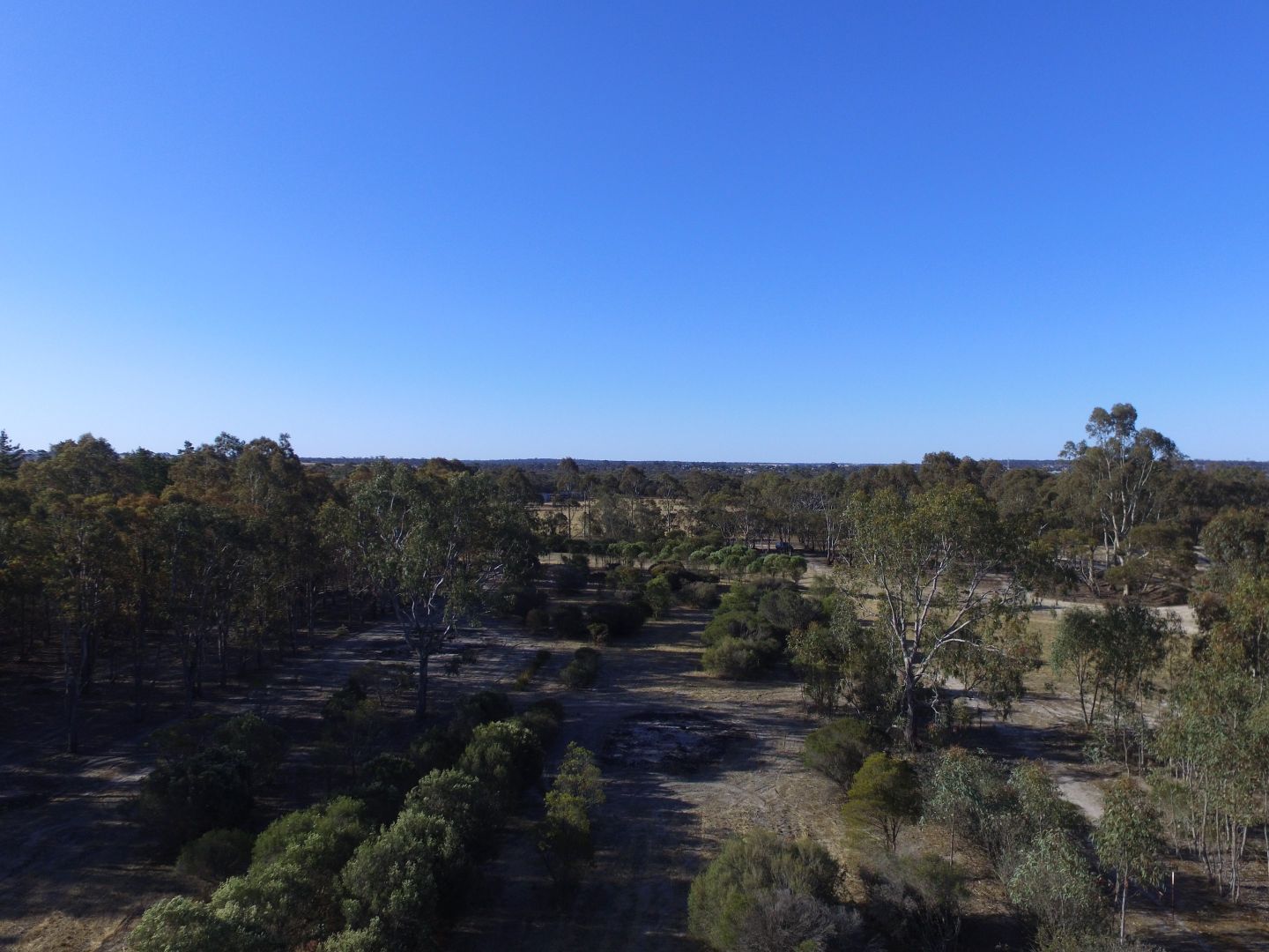 627 Wanke Street, Katanning WA 6317 Vacant Land for Sale 155,000