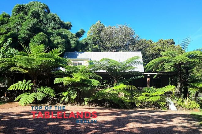 Picture of 28 Bellview Dr, RAVENSHOE QLD 4888