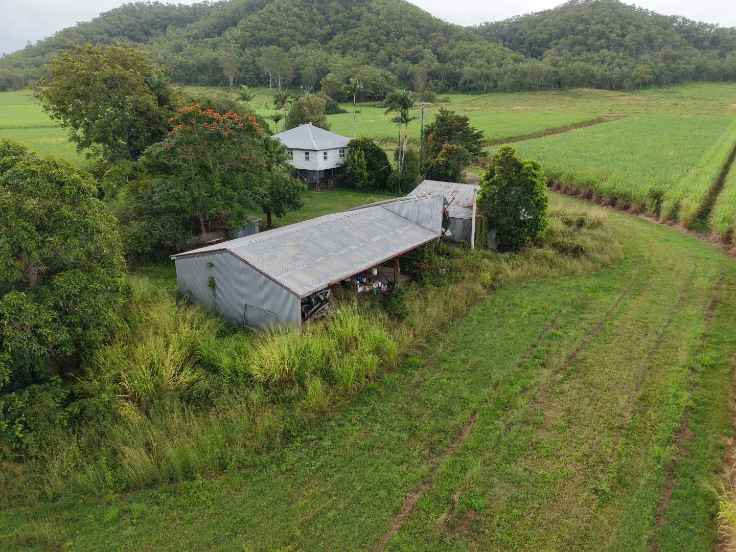 Image 9