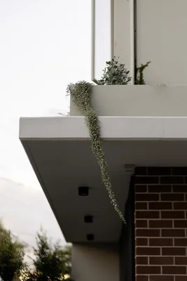 Image 13