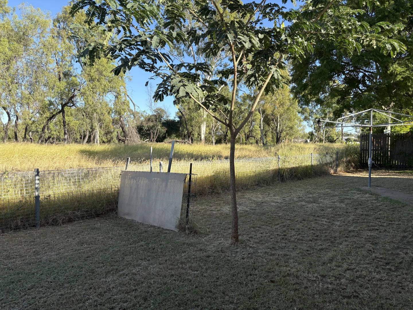 Image 25