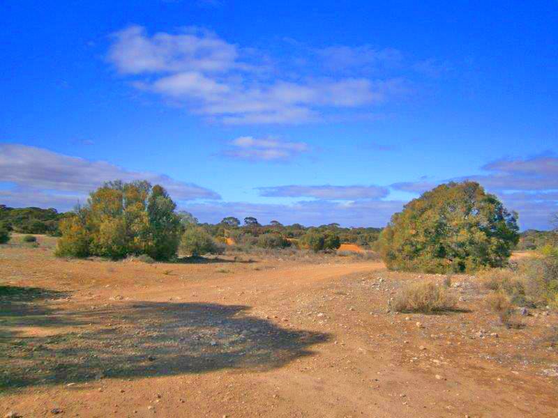 Lot 91 Sturt Highway, Blanchetown SA 5357, Image 0