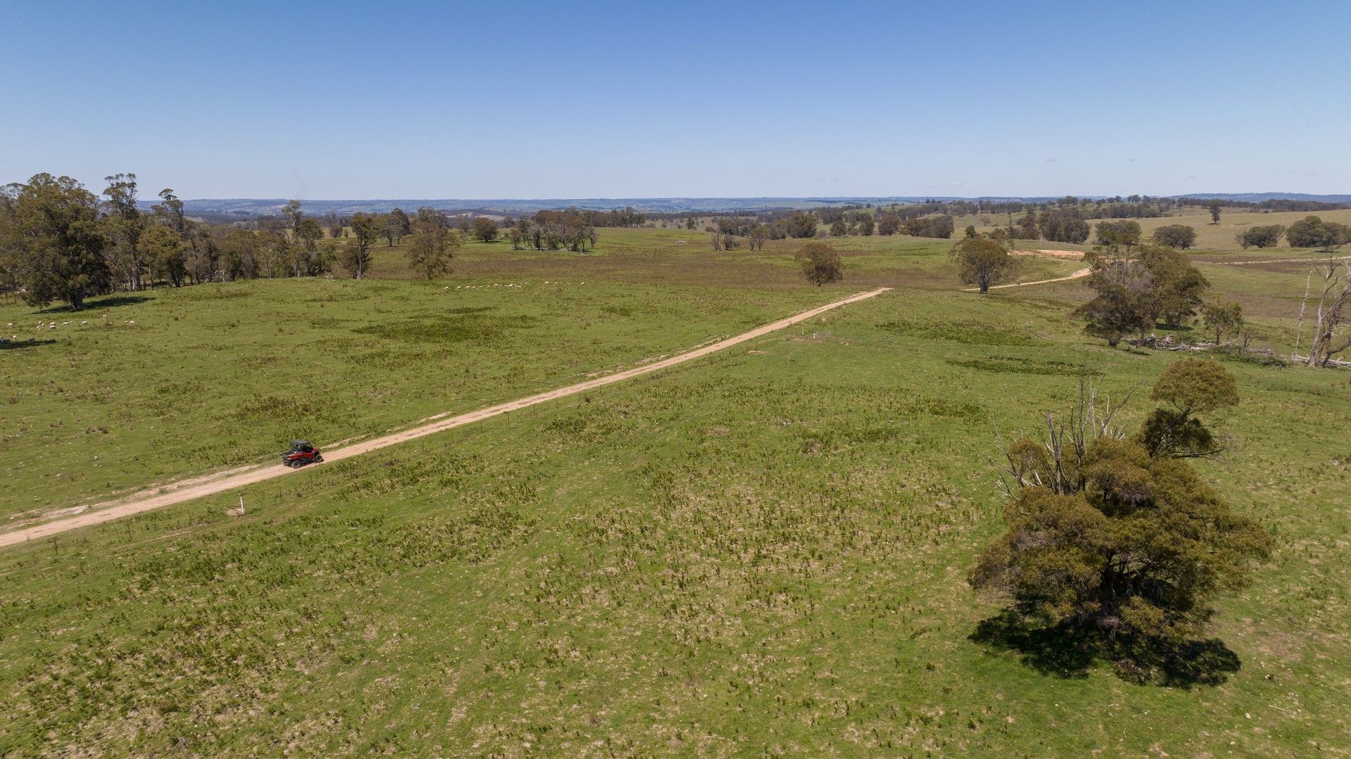 1007 Bark Hut Road, Walcha NSW 2354 House for Sale Domain