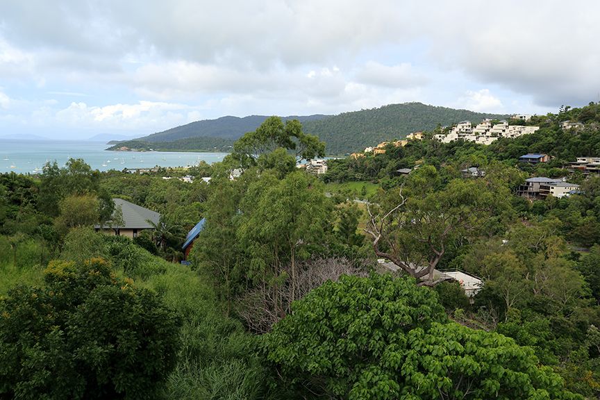 2 Laguna Court, Airlie Beach QLD 4802 House For Rent 925 Domain