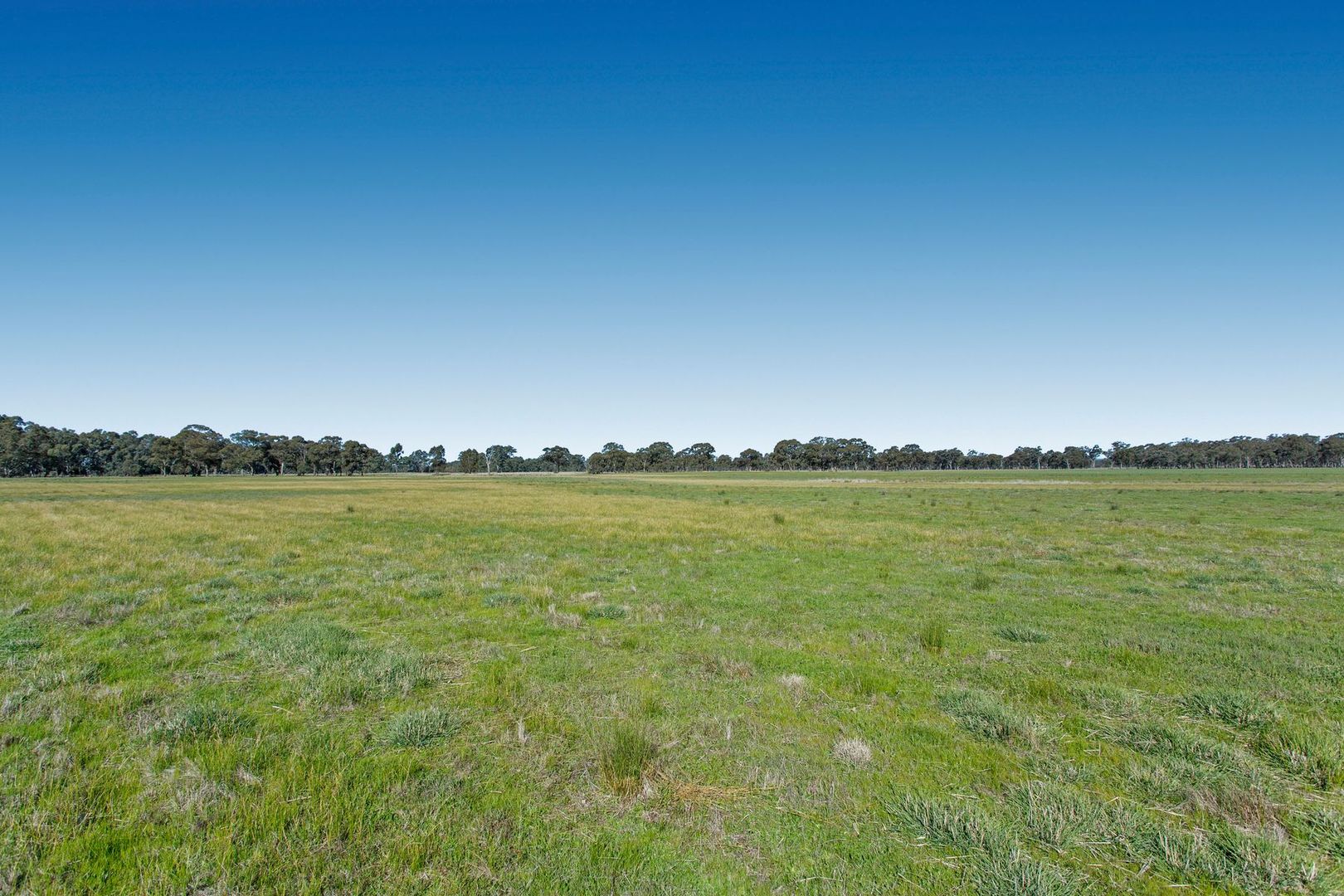 Lot 1 Station Road, Bagshot VIC 3551, Image 1