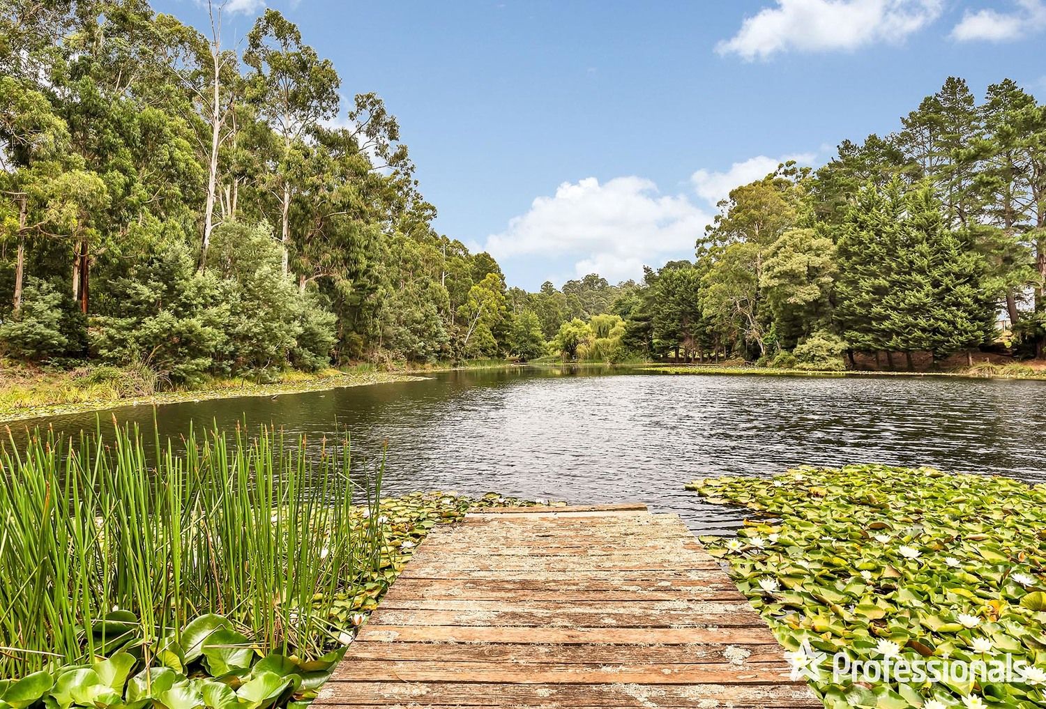 79 Wiseman Road, Silvan VIC 3795, Image 0