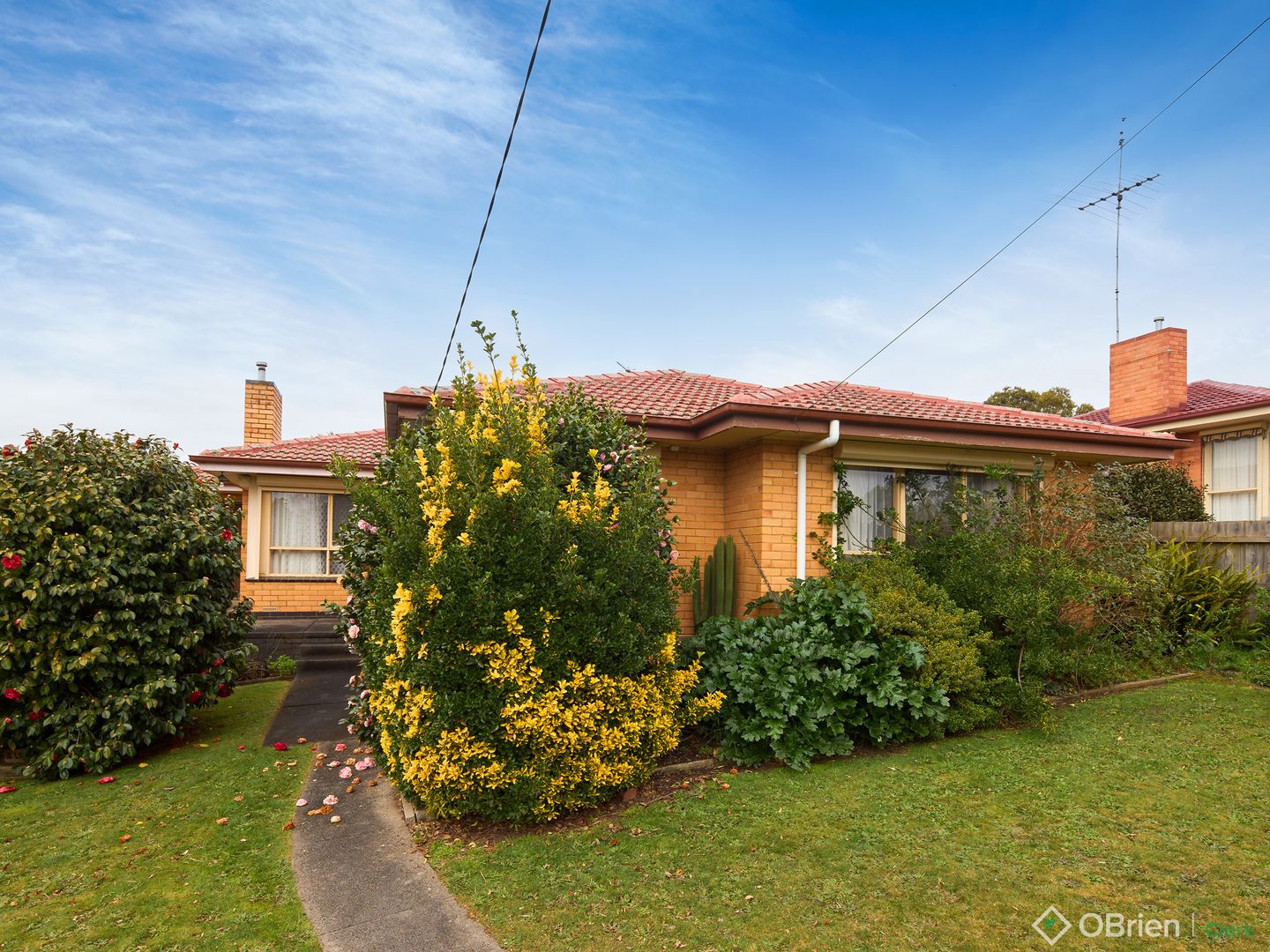 12 Charles Street, Drouin VIC 3818, Image 2